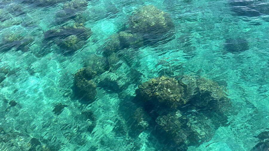 (스압)잘 다녀왔습니다._29.jpg