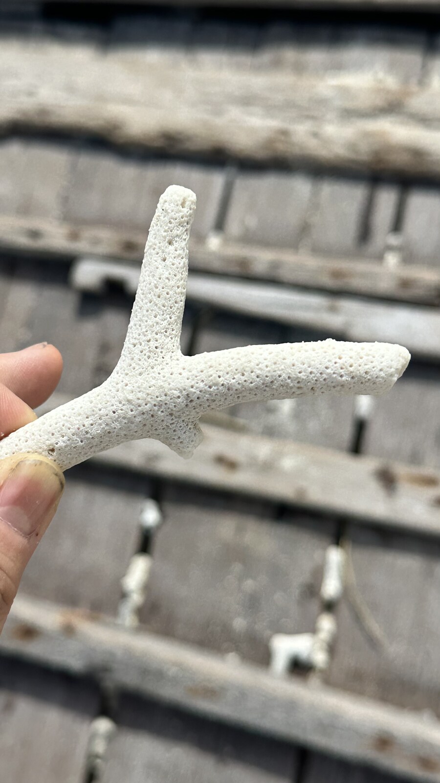 (스압)잘 다녀왔습니다._33.jpg