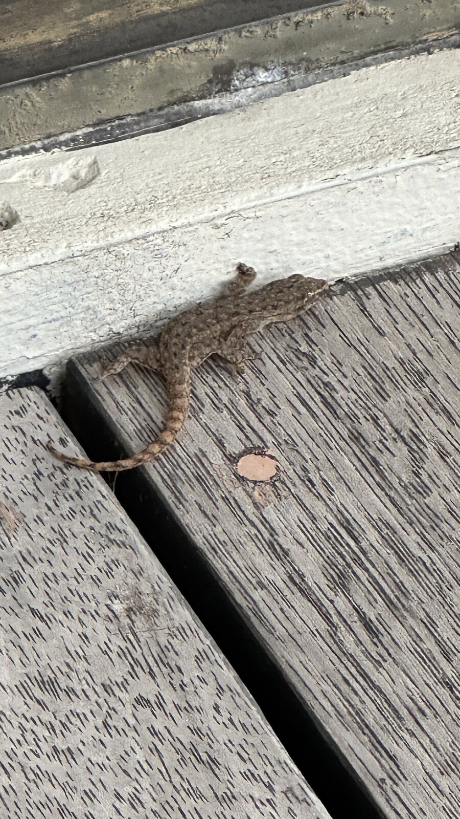 (스압)잘 다녀왔습니다._62.jpg