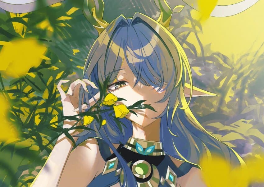 음악결정과 전망포인트 및 짤 폭탄 입니다_46.jpg