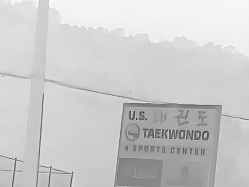 6월달 서울시립공원묘지 탐조_5.jpg