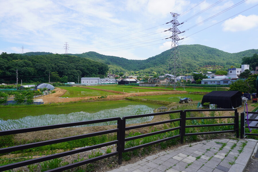 6월달 서울시립공원묘지 탐조_26.jpg