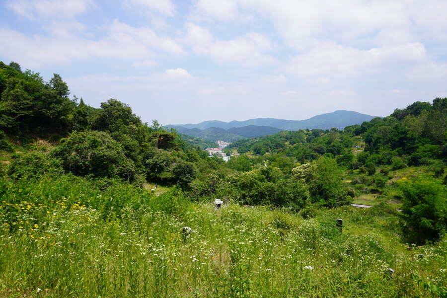 6월달 서울시립공원묘지 탐조_36.jpg