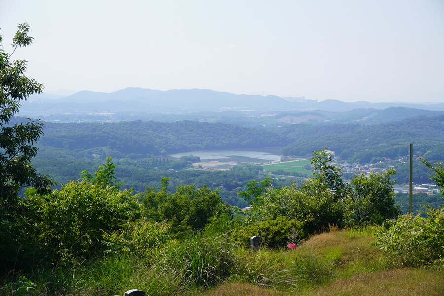 6월달 서울시립공원묘지 탐조_59.jpg