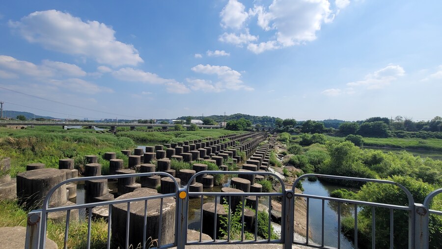 6월달 서울시립공원묘지 탐조_66.jpg