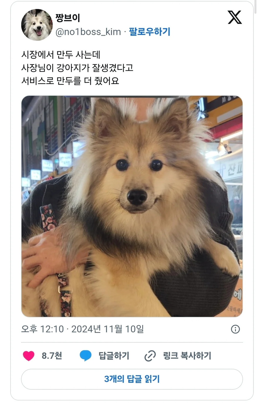 강아지 잘생겼다고 사장님이 서비스주심.JPG_1.webp