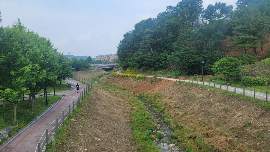 6월, 가볍게 공릉천 탐조_2.jpg