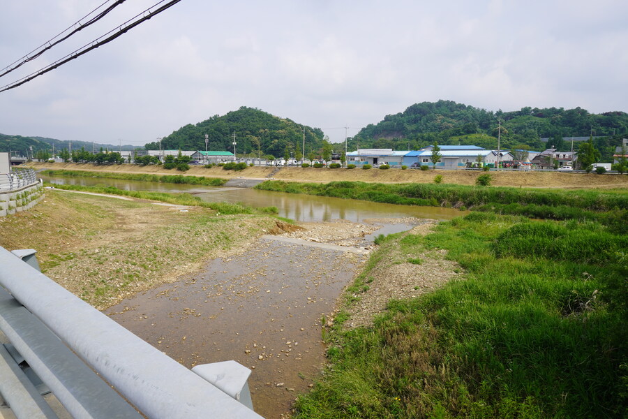 6월, 가볍게 공릉천 탐조_3.jpg