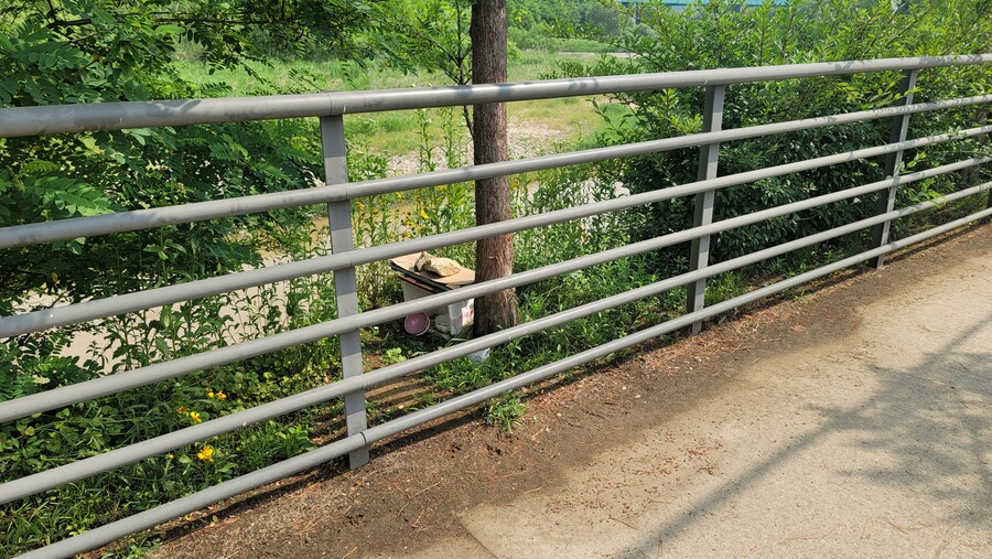 6월, 가볍게 공릉천 탐조_12.jpg