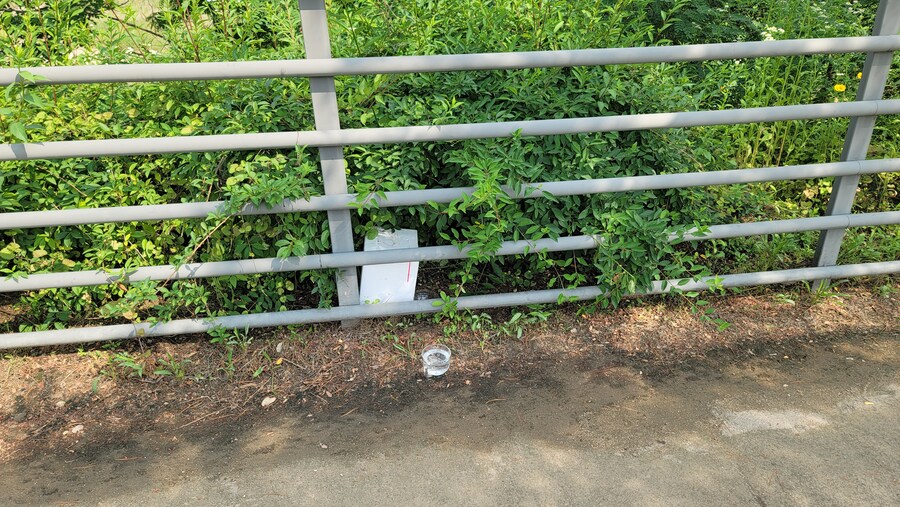 6월, 가볍게 공릉천 탐조_14.jpg