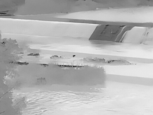 6월, 가볍게 공릉천 탐조_17.jpg