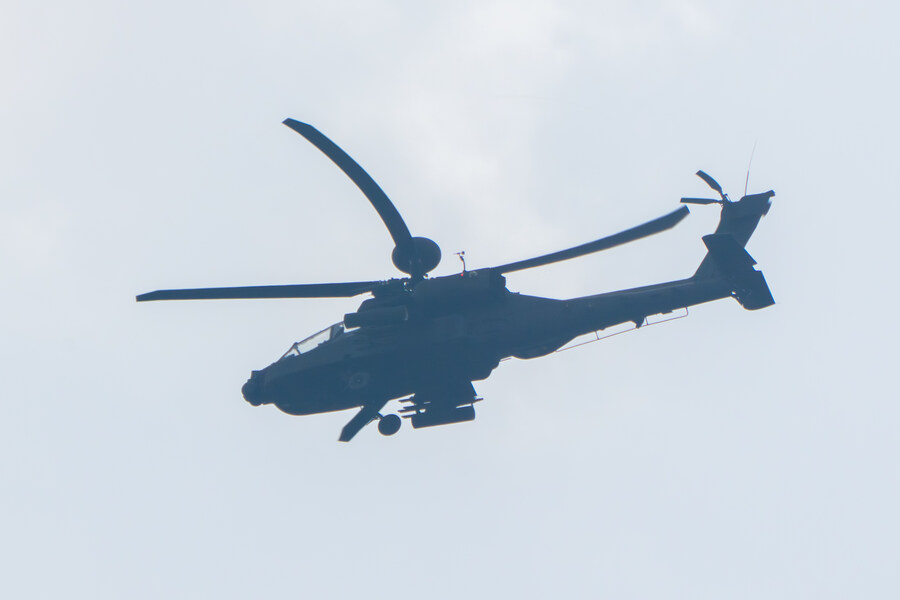 6월, 가볍게 공릉천 탐조_46.jpg