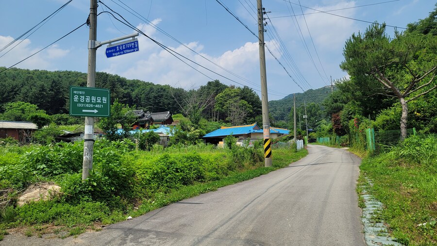 6월, 가볍게 공릉천 탐조_55.jpg