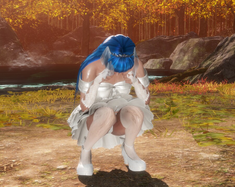 데드 오어 얼라이브 6_5.png