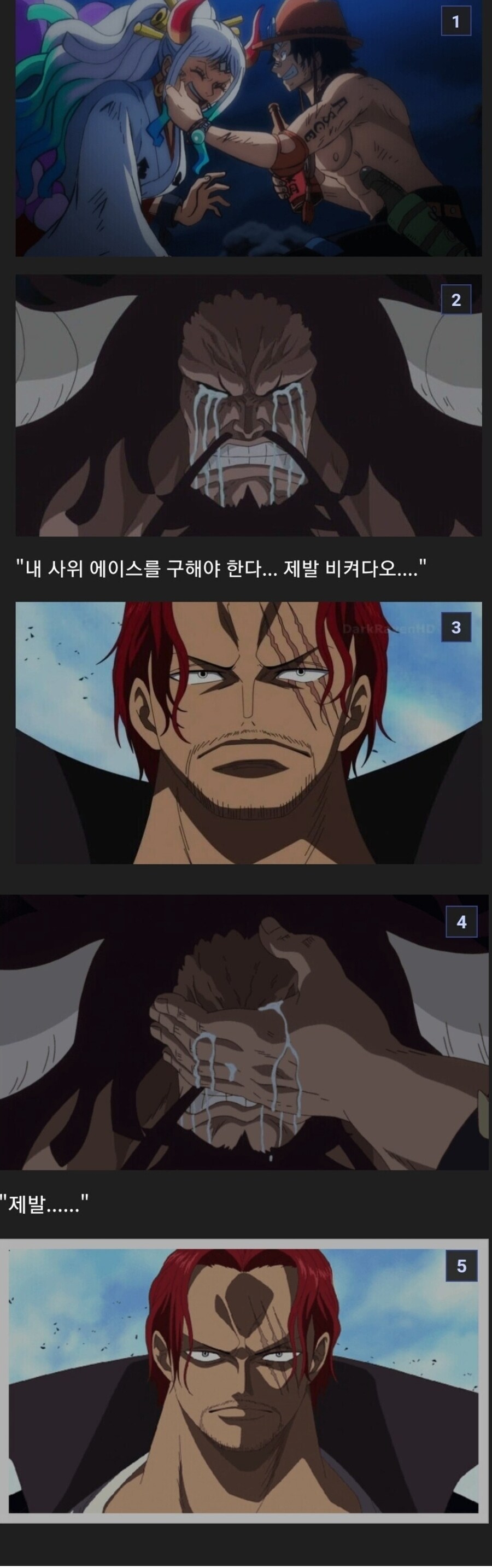 원피스 점점 설득력을 얻고 있는 음해_1.jpg