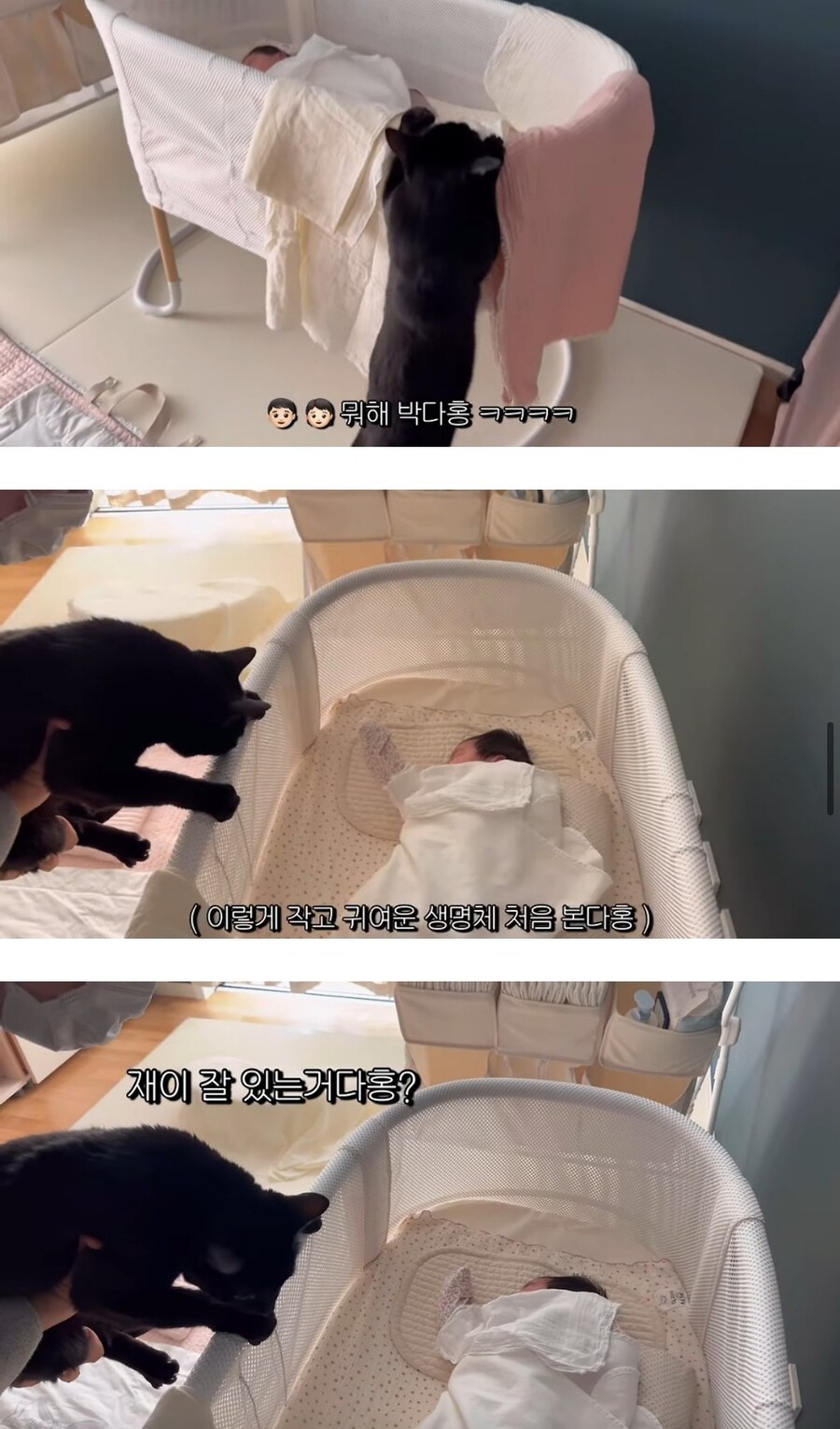 완전체가 된 박수홍네 가족_9.jpg