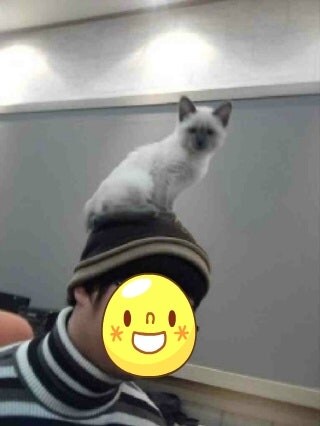 [오늘은 사랑이의 15살 생일입니다] (스압주)_12.jpg