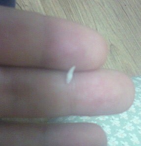 [오늘은 사랑이의 15살 생일입니다] (스압주)_23.jpg