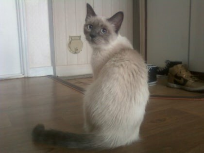 [오늘은 사랑이의 15살 생일입니다] (스압주)_24.jpg