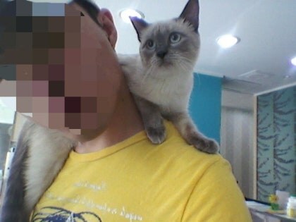 [오늘은 사랑이의 15살 생일입니다] (스압주)_25.jpg