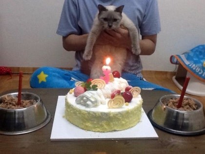 [오늘은 사랑이의 15살 생일입니다] (스압주)_65.jpg