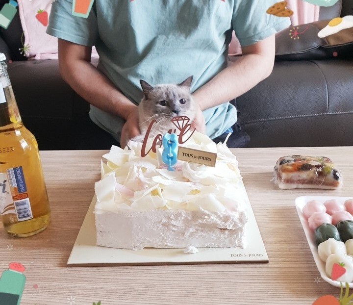 [오늘은 사랑이의 15살 생일입니다] (스압주)_82.jpg