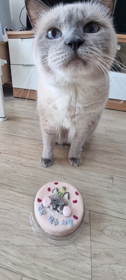 [오늘은 사랑이의 15살 생일입니다] (스압주)_89.jpg