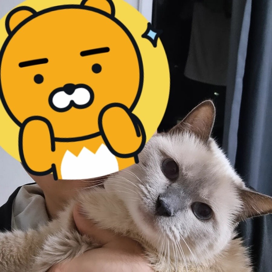 [오늘은 사랑이의 15살 생일입니다] (스압주)_90.jpg