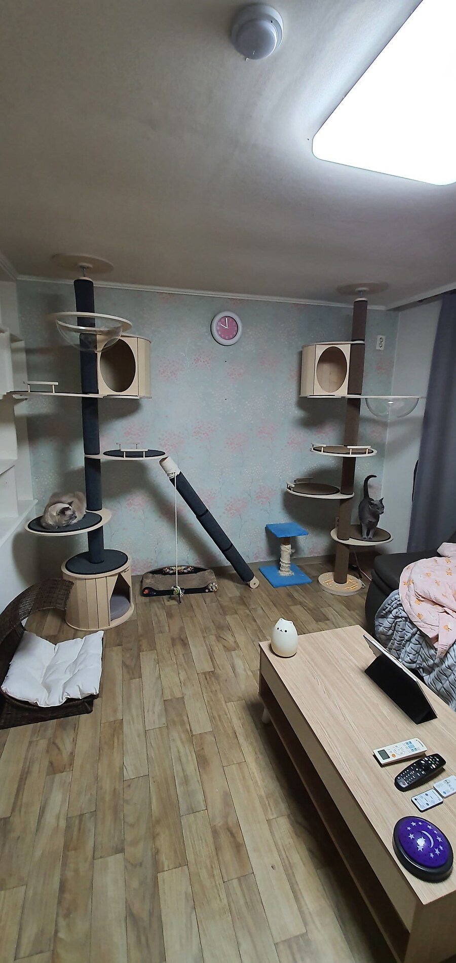 [오늘은 사랑이의 15살 생일입니다] (스압주)_87.jpg