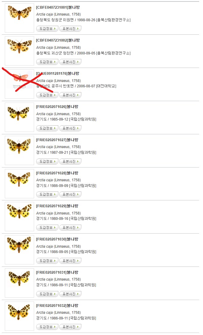 [곤충]국내 최초 불나방 증식 성공_13.png