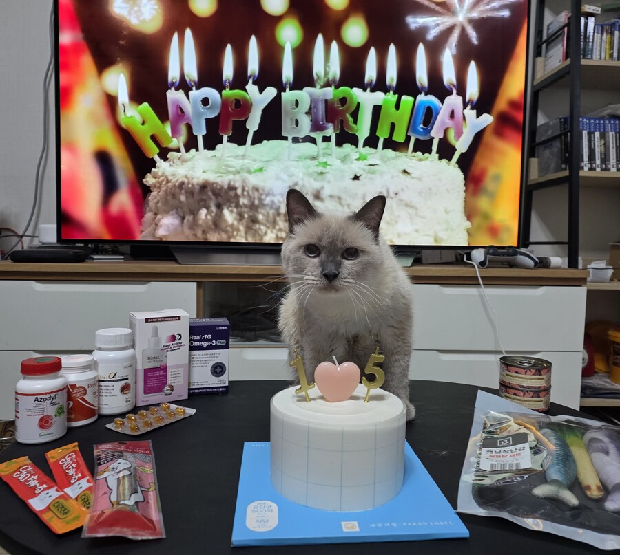 [사랑이 생일 기념 사진]_1.jpg