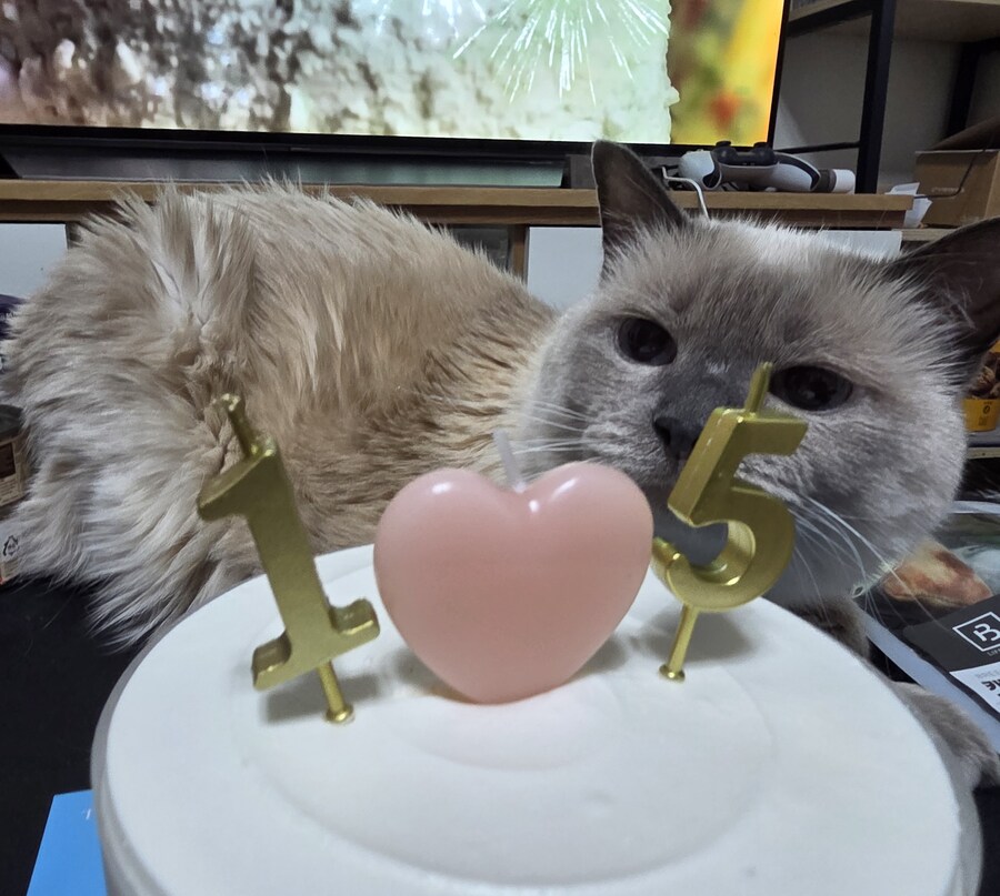 [사랑이 생일 기념 사진]_7.jpg