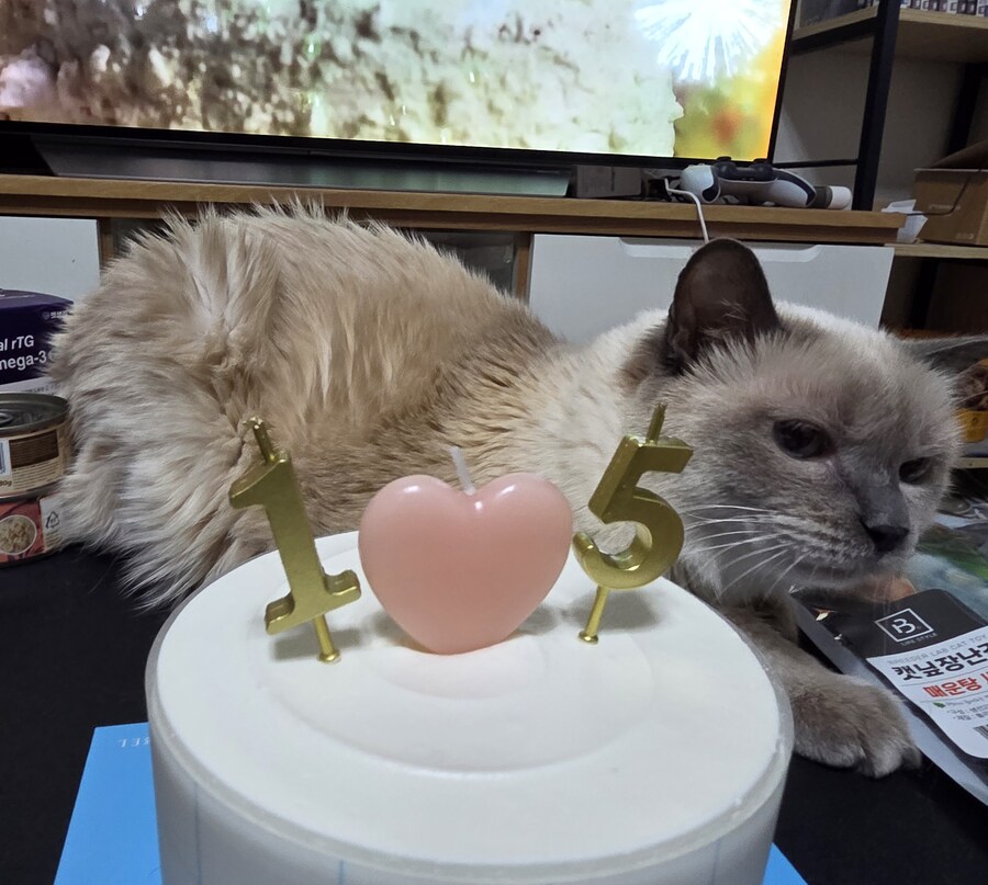 [사랑이 생일 기념 사진]_8.jpg