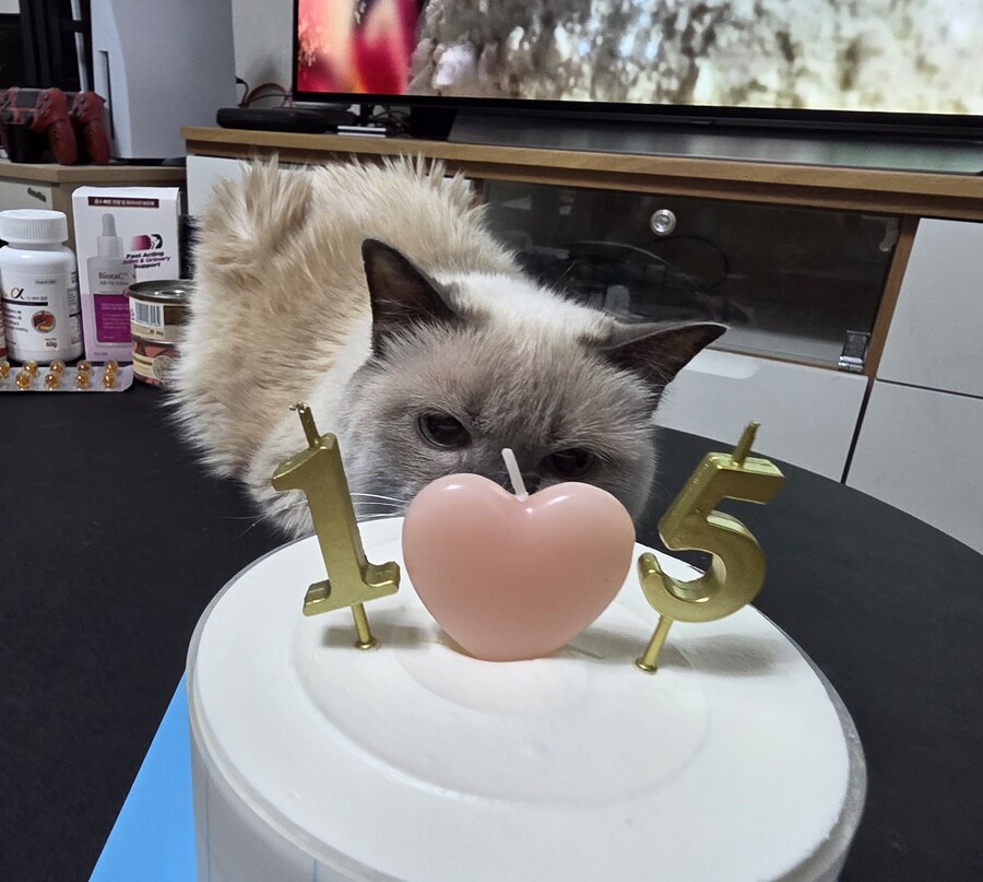 [사랑이 생일 기념 사진]_9.jpg