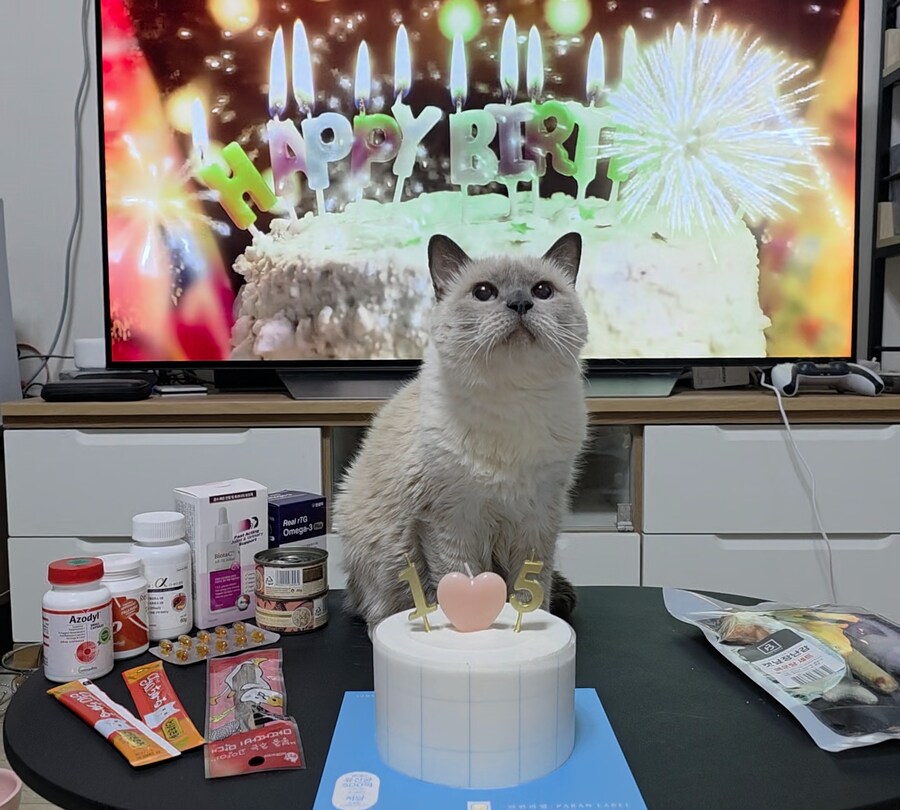 [사랑이 생일 기념 사진]_11.jpg