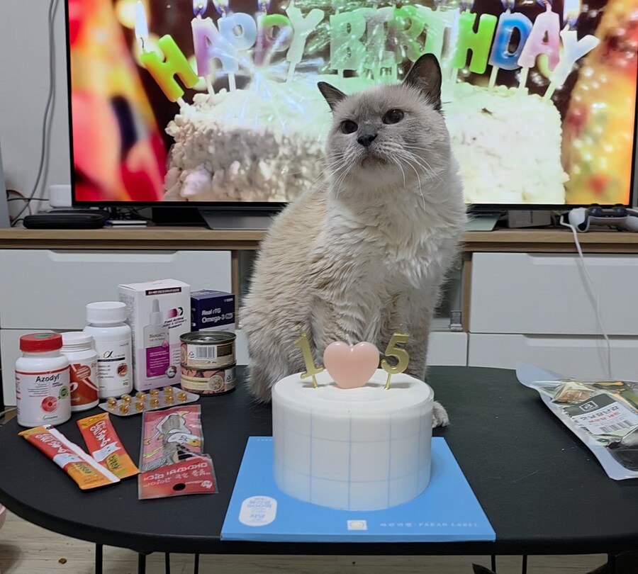 [사랑이 생일 기념 사진]_14.jpg