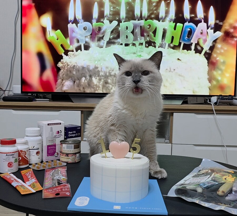 [사랑이 생일 기념 사진]_18.jpg