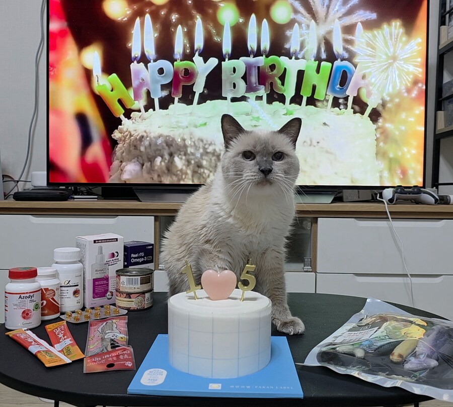 [사랑이 생일 기념 사진]_20.jpg