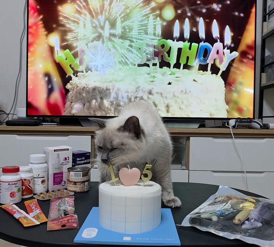 [사랑이 생일 기념 사진]_21.jpg