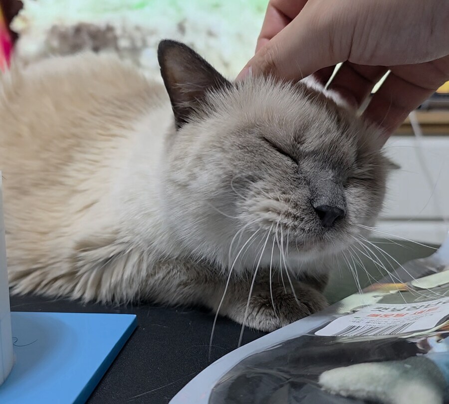 [사랑이 생일 기념 사진]_27.jpg