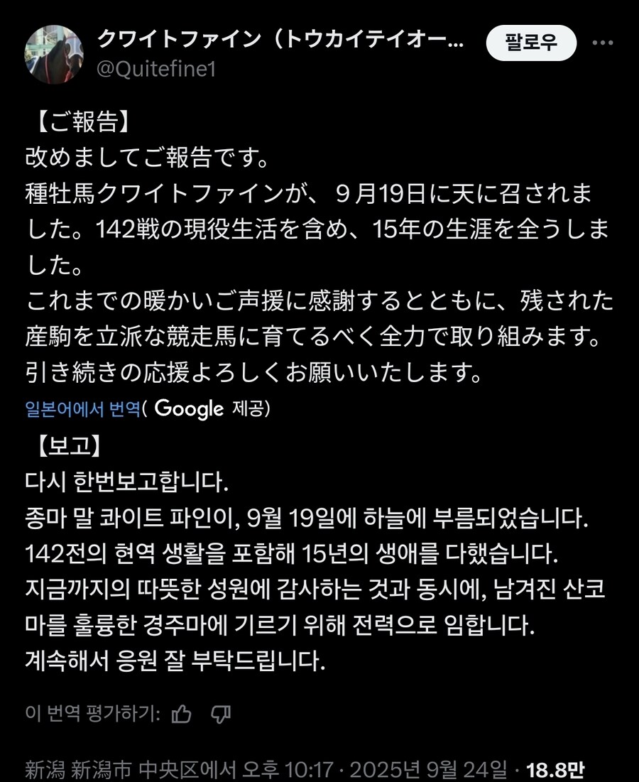경마, 말딸 혈통) 토카이 테이오의 후계 종마, 콰이트파인 사망._1.jpg