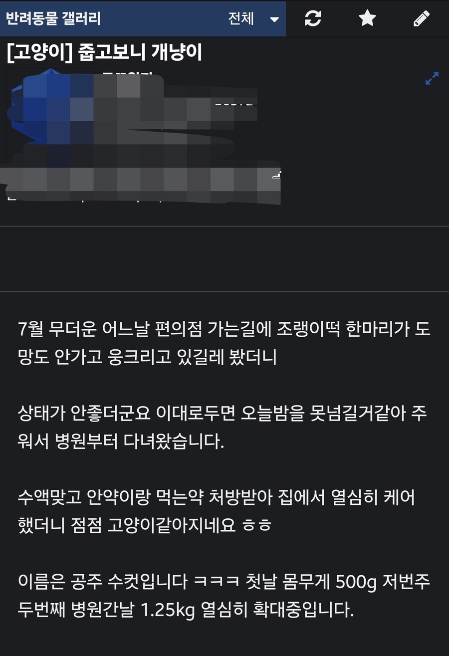 오른쪽 냥줍글에 달린 이미지 댓글_1.jpg