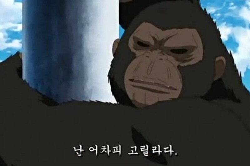 너 누구야!!_2.png