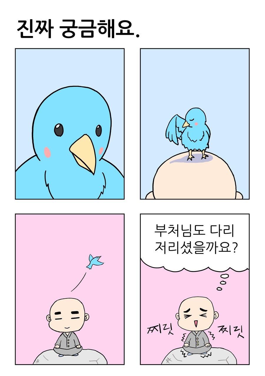 진짜 궁금해요_1.png