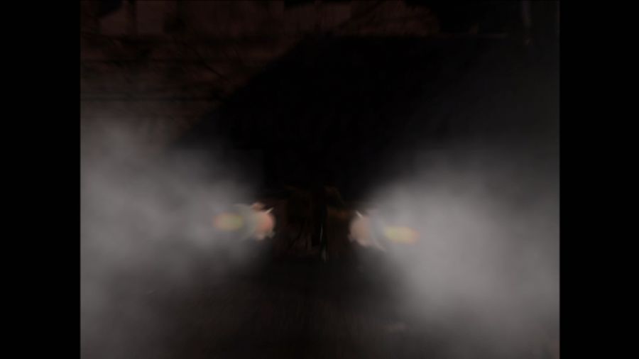 DEAD OR ALIVE 3_35.jpg