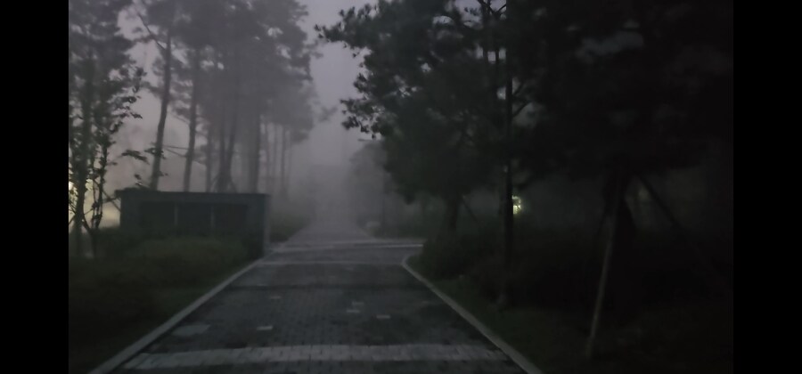 오늘날씨 사힐 이네요_1.jpg