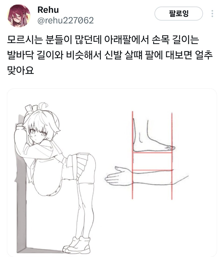 꿀팁) 아랫팔에서 손목까지 인체비율맞게 그리기.jpg_1.jpg