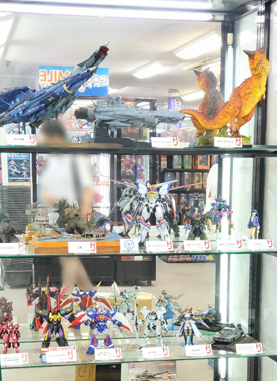 [맥스팩토리] PLAMAX 1/72 드라고나1 대략적인 크기 비교 이미지_1.jpg