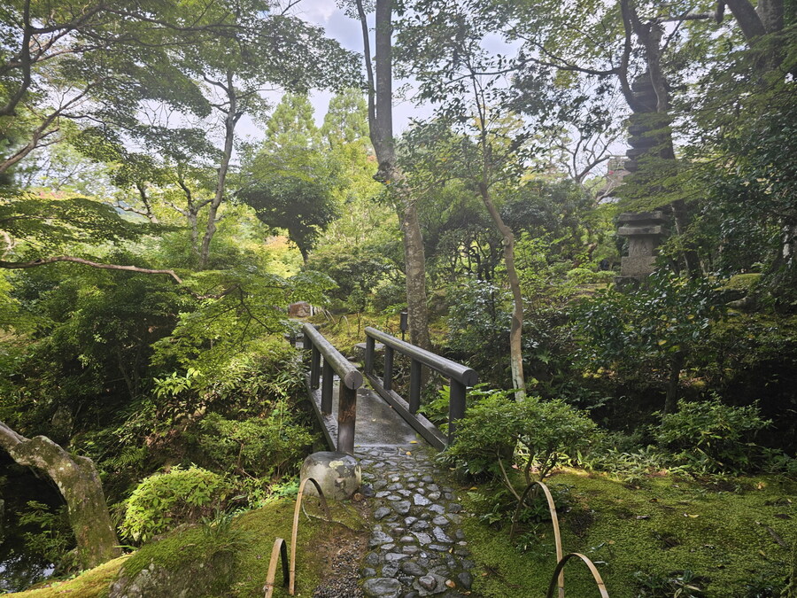 오사카-칸사이 부모님 모시고 효도 여행 1일차 - 도톤보리/나라공원/하루카스300_45.jpg