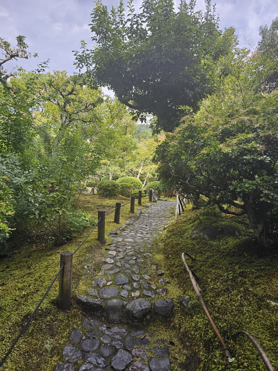 오사카-칸사이 부모님 모시고 효도 여행 1일차 - 도톤보리/나라공원/하루카스300_46.jpg